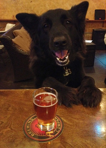 Stellaluna Weaver at Aztec Brewing Company 